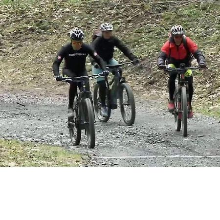 Le Cocon Du Catogne Proche Martigny Verbier - Netflix - Valettes Buitenkant foto