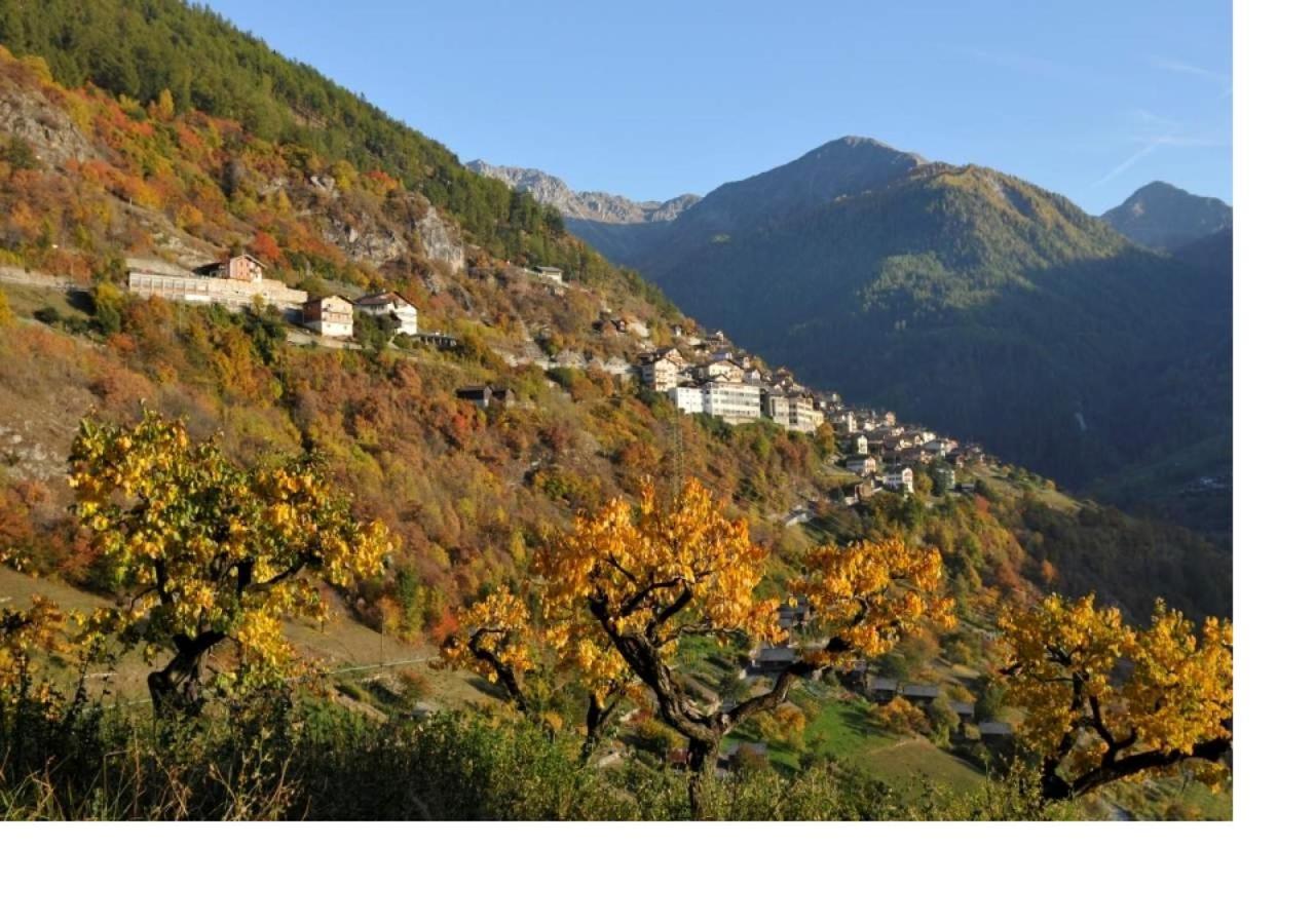 Le Cocon Du Catogne Proche Martigny Verbier - Netflix - Valettes Buitenkant foto