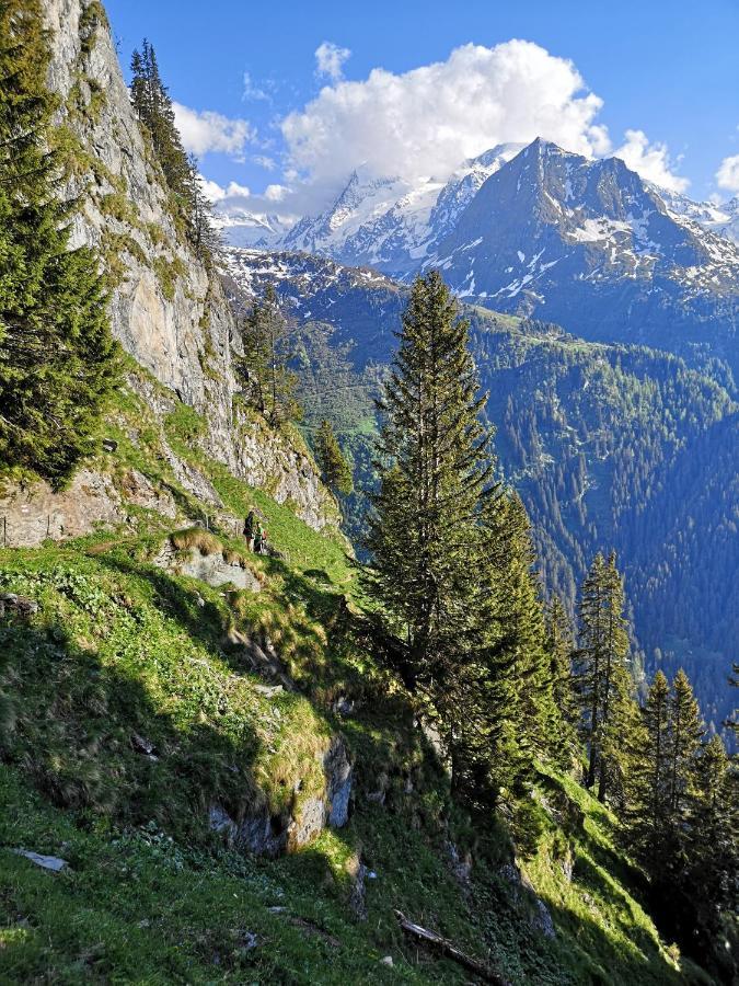 Le Cocon Du Catogne Proche Martigny Verbier - Netflix - Valettes Buitenkant foto